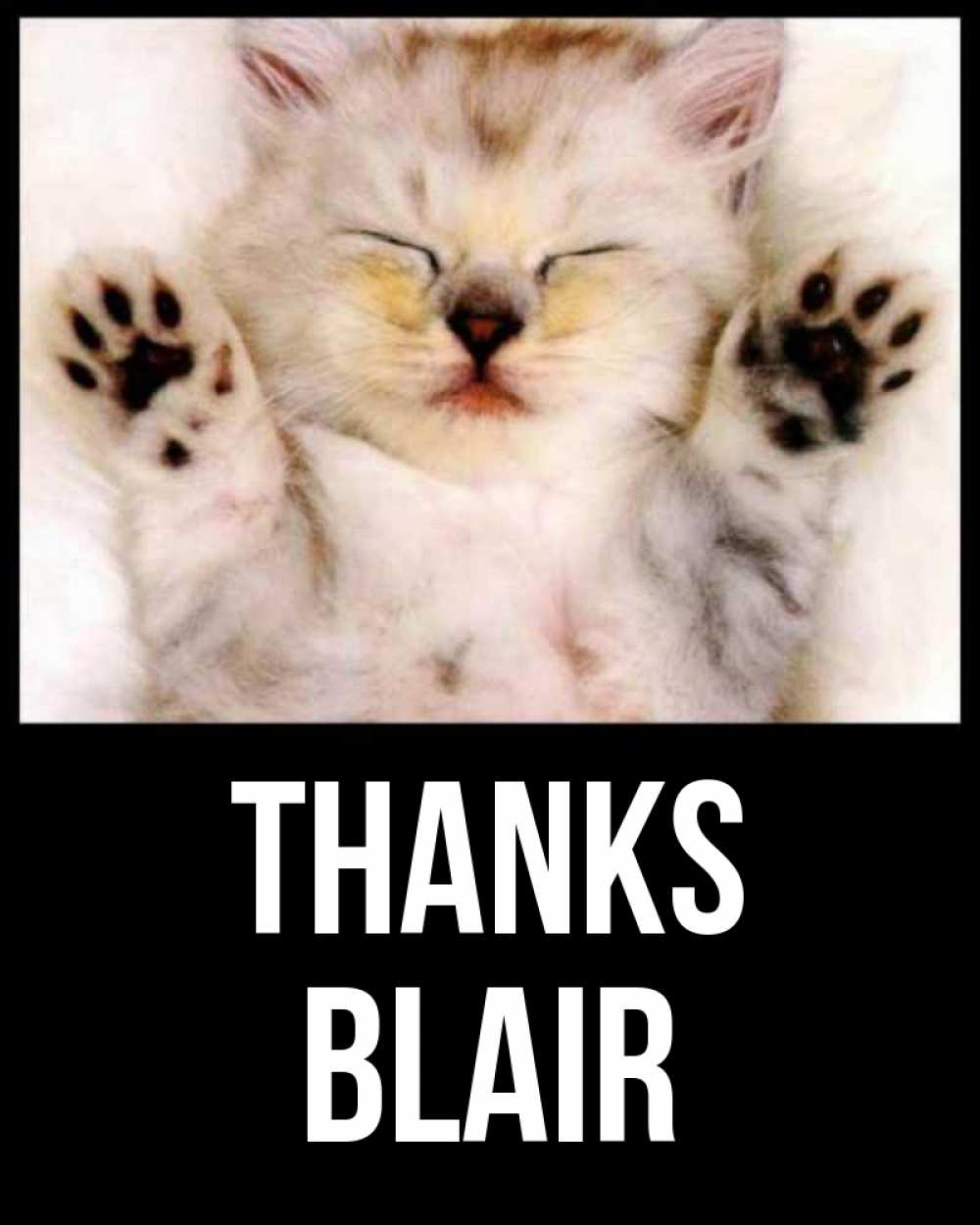 Greetings card с именем, Blair Thanks маленький котенок Greetings with text for free download 