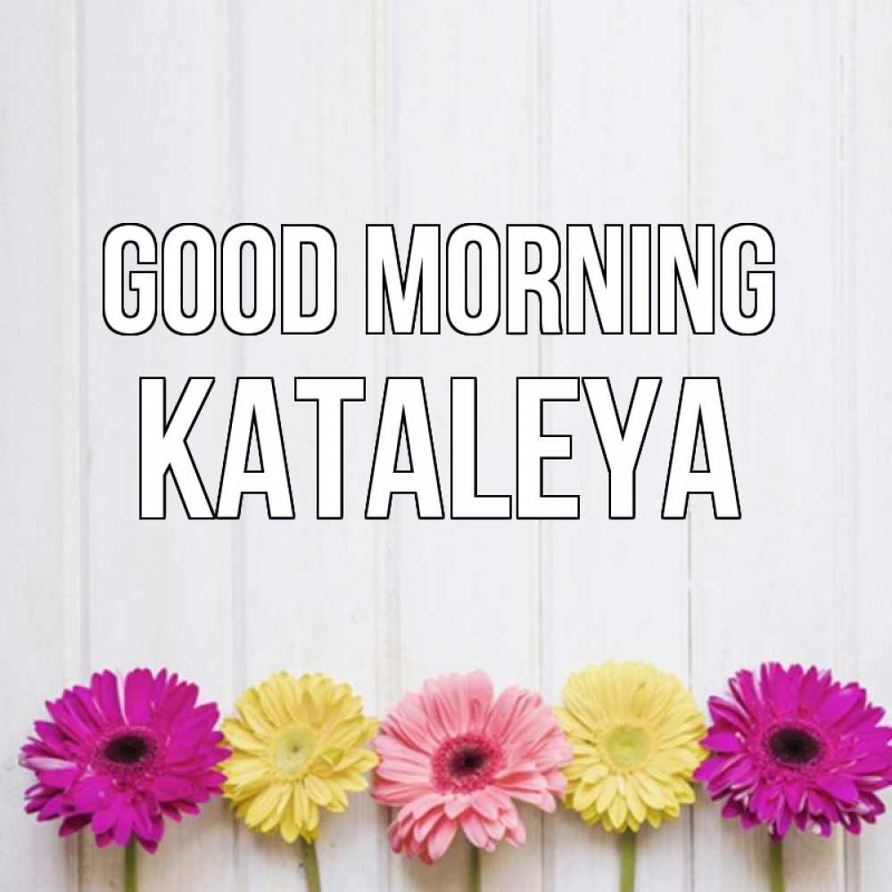 Greetings card с именем, Kataleya Good morning красный желтый и розовый цветок Greetings with text for free download 