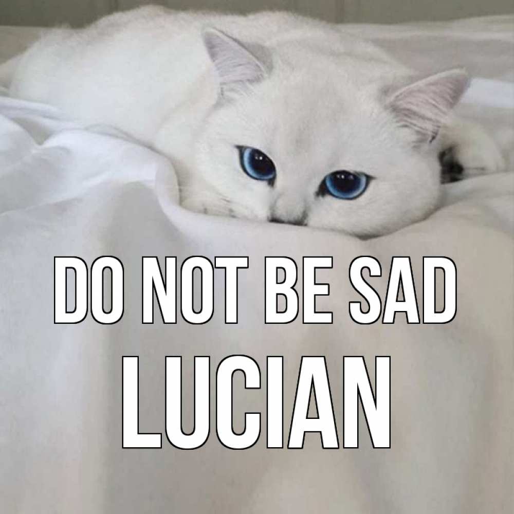 Greetings card с именем, Lucian Do not be sad белый кот с голубыми глазами на белоснежной кровати Greetings with text for free download 