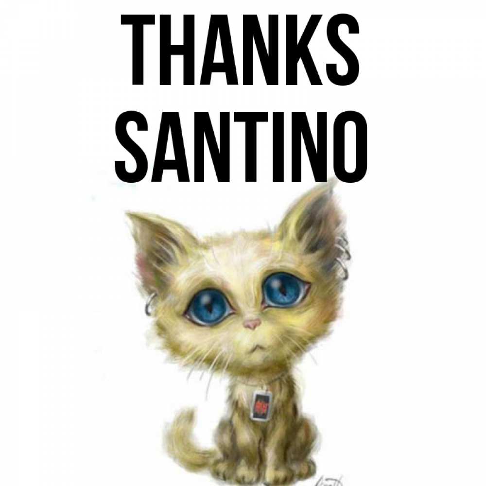 Greetings card с именем, Santino Thanks рисованный кот благодарит вас Greetings with text for free download 