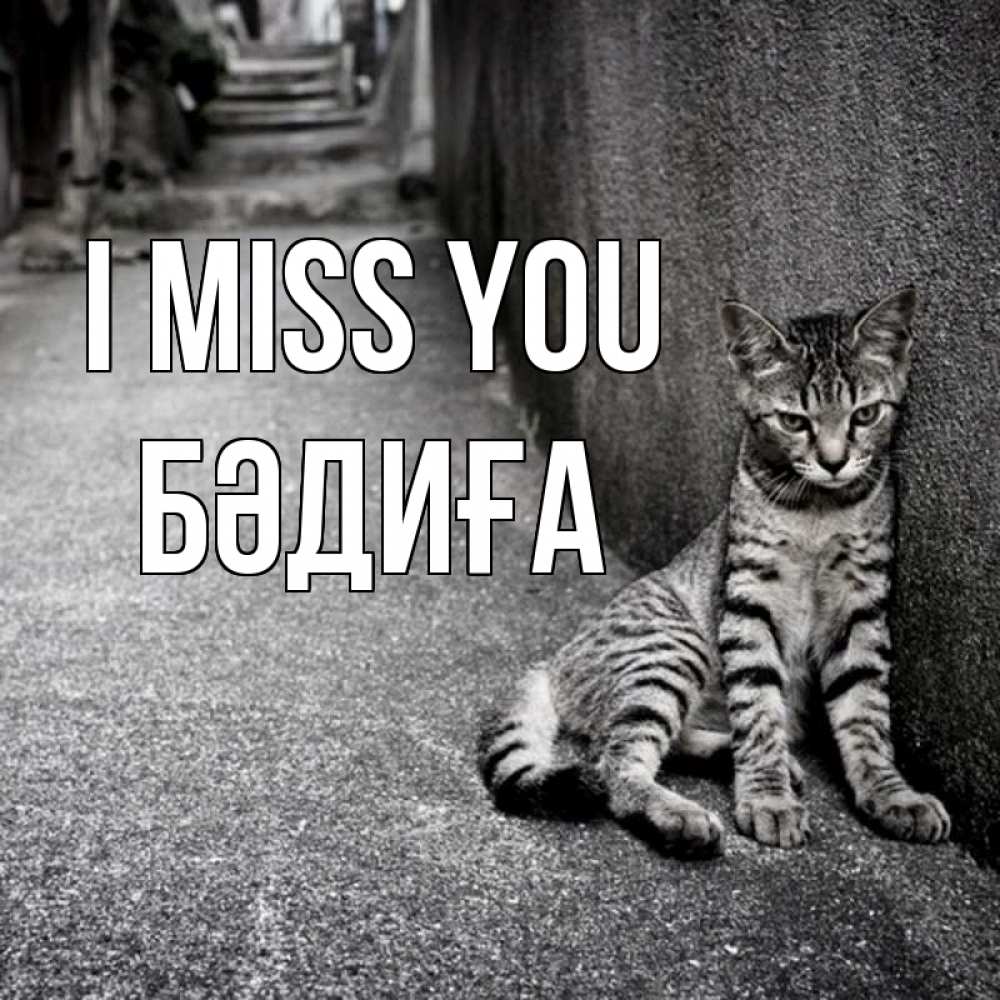 Greetings card с именем, БӘДИҒА I miss you одиноко котику Greetings with text for free download 