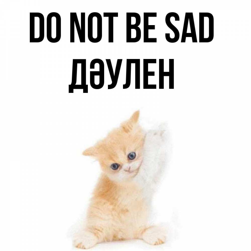 Greetings card с именем, Дәулен Do not be sad просящий кот Greetings with text for free download 