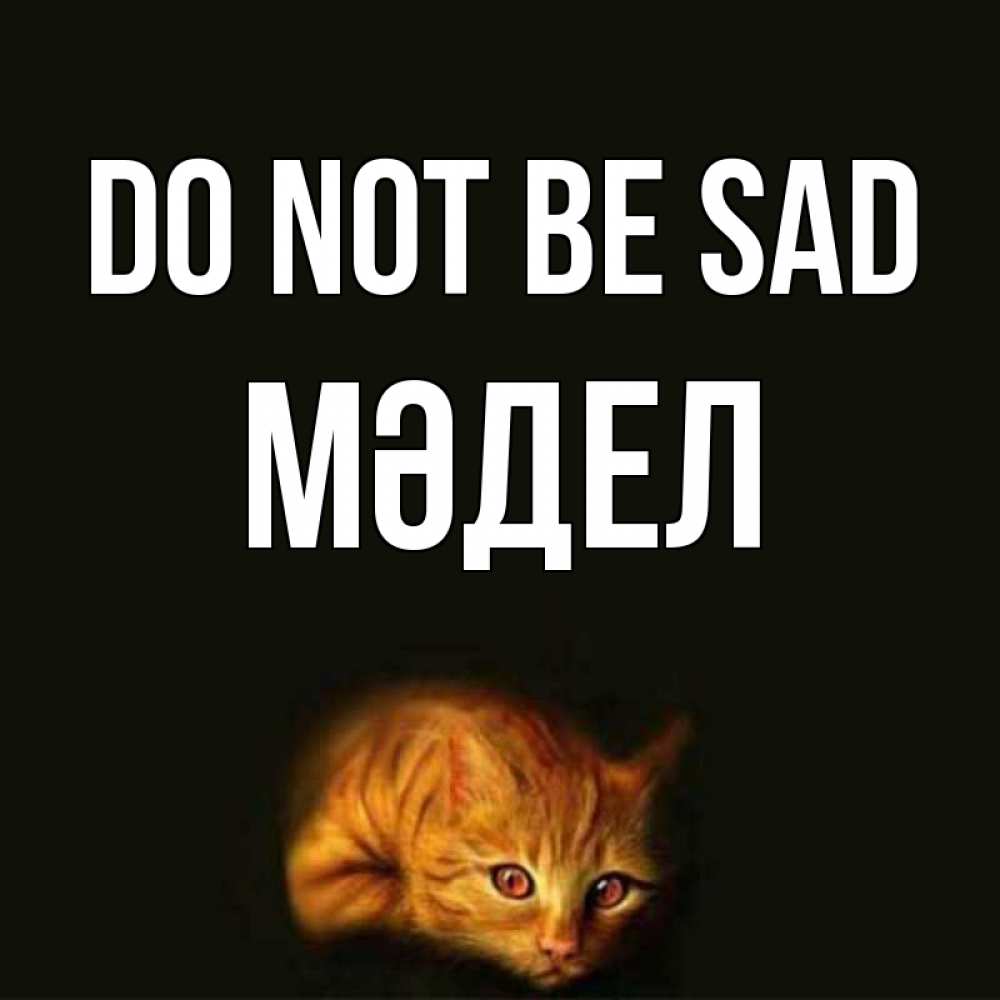 Greetings card с именем, МӘДЕЛ Do not be sad лежащий кот в темноте Greetings with text for free download 