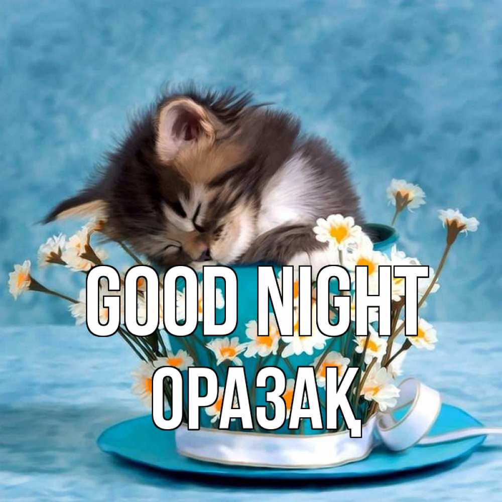 Greetings card с именем, ОРАЗАҚ Good night котенок спит в кружке с блюдцем Greetings with text for free download 