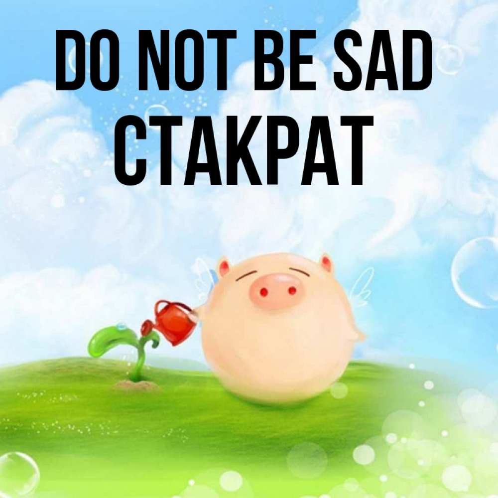 Greetings card с именем, Стакрат Do not be sad поливает цветок порося Greetings with text for free download 