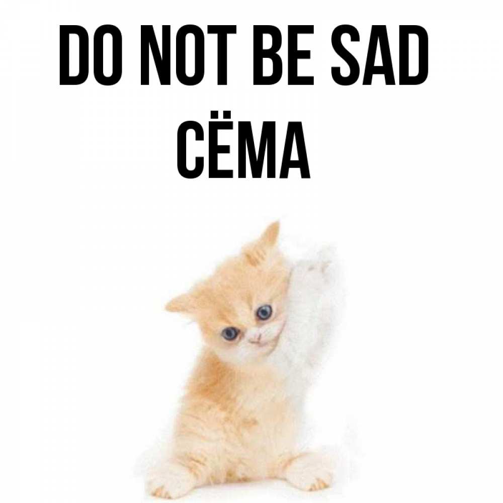 Greetings card с именем, Сёма Do not be sad просящий кот Greetings with text for free download 