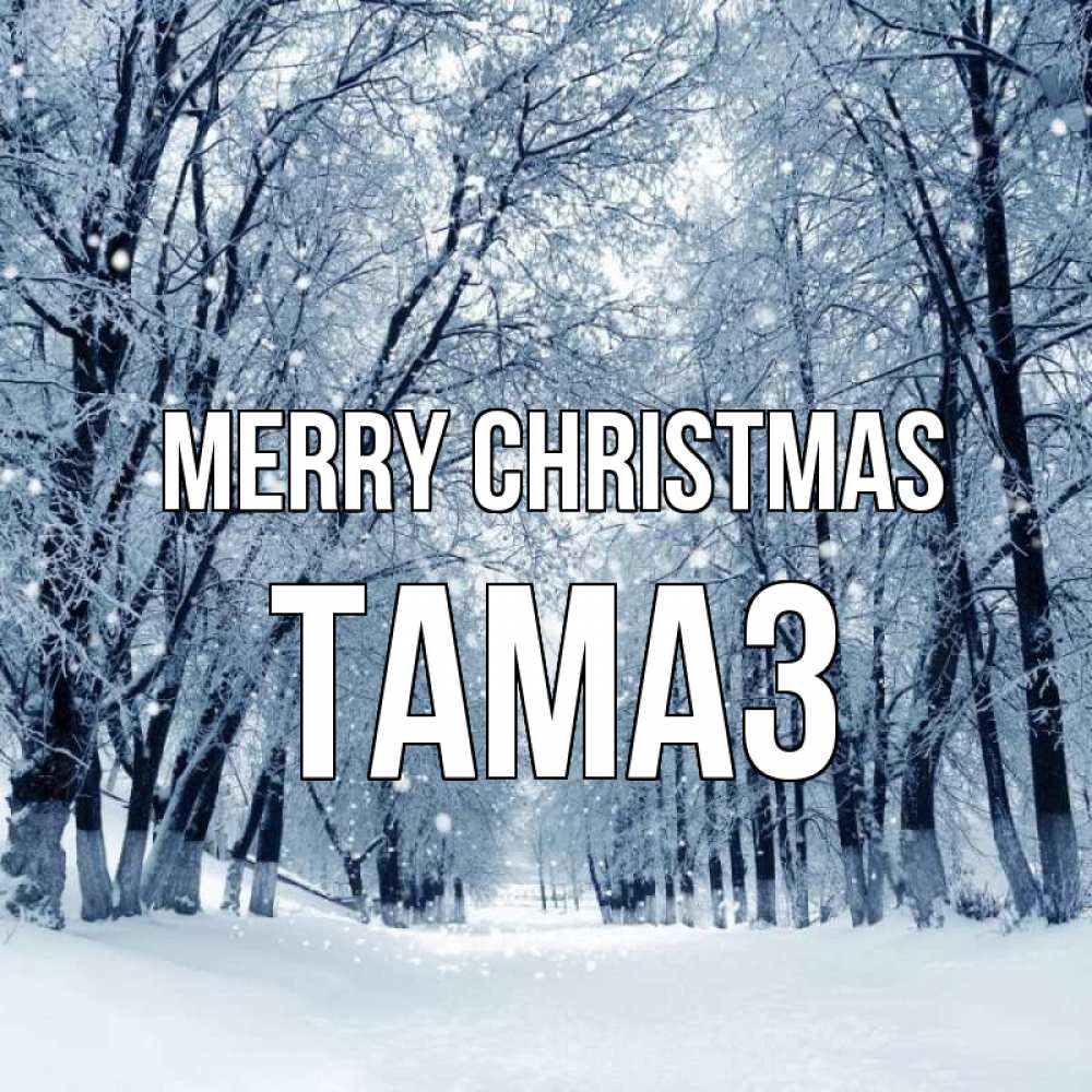 Greetings card с именем, Тамаз Merry Christmas снег, лес, парк Greetings with text for free download 