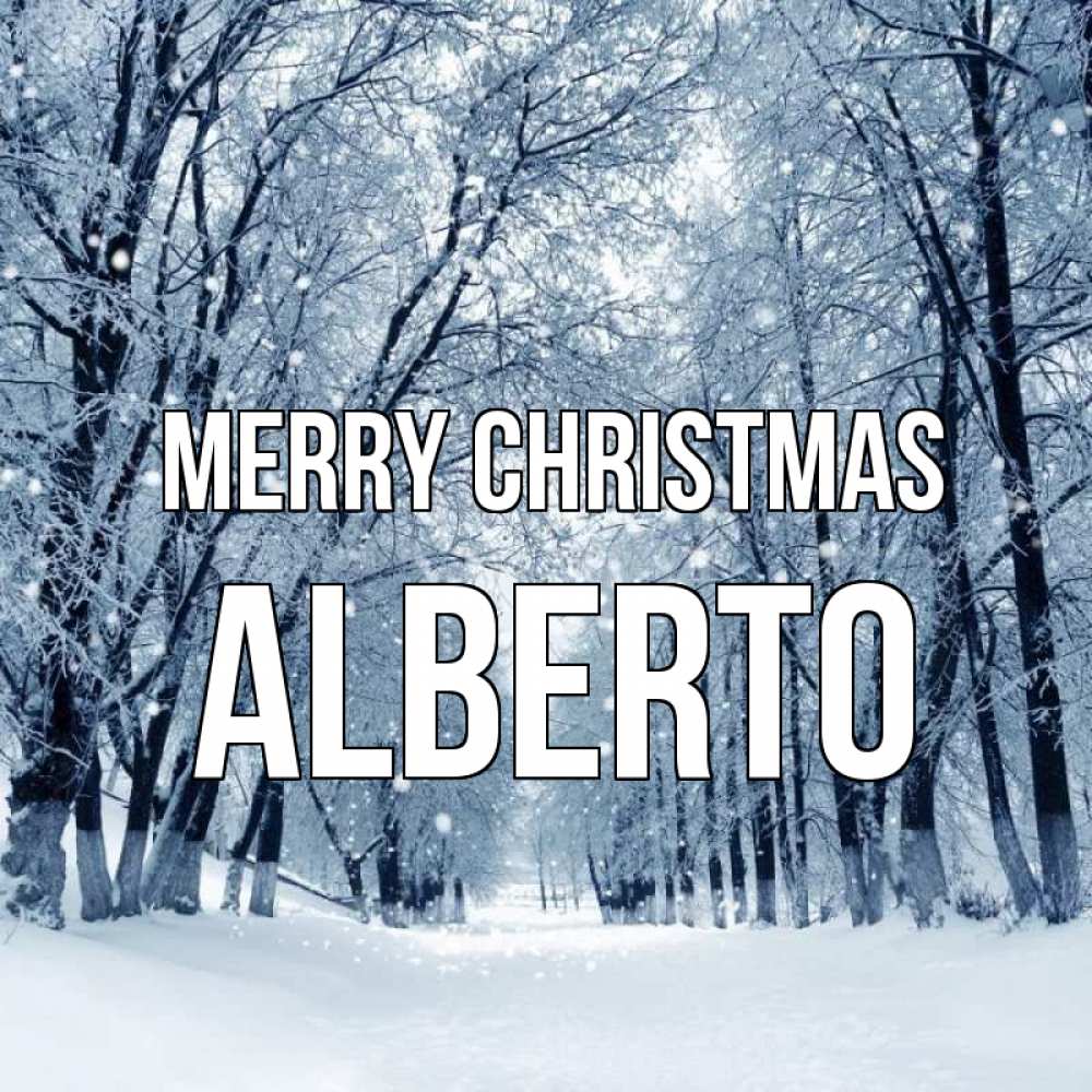 Greetings card с именем, Alberto Merry Christmas снег, лес, парк Greetings with text for free download 