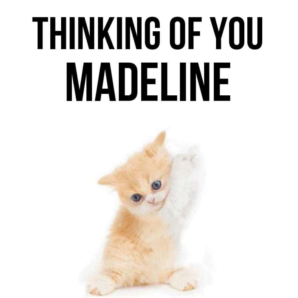 Greetings card с именем, Madeline Thinking of you зверушки и милота Greetings with text for free download 