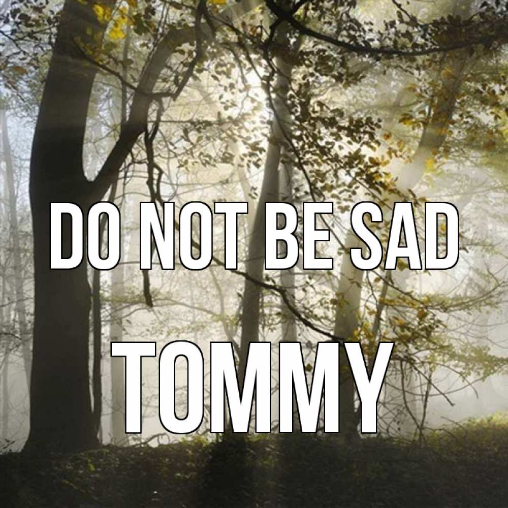 Greetings card с именем, Tommy Do not be sad лес и свет Greetings with text for free download 