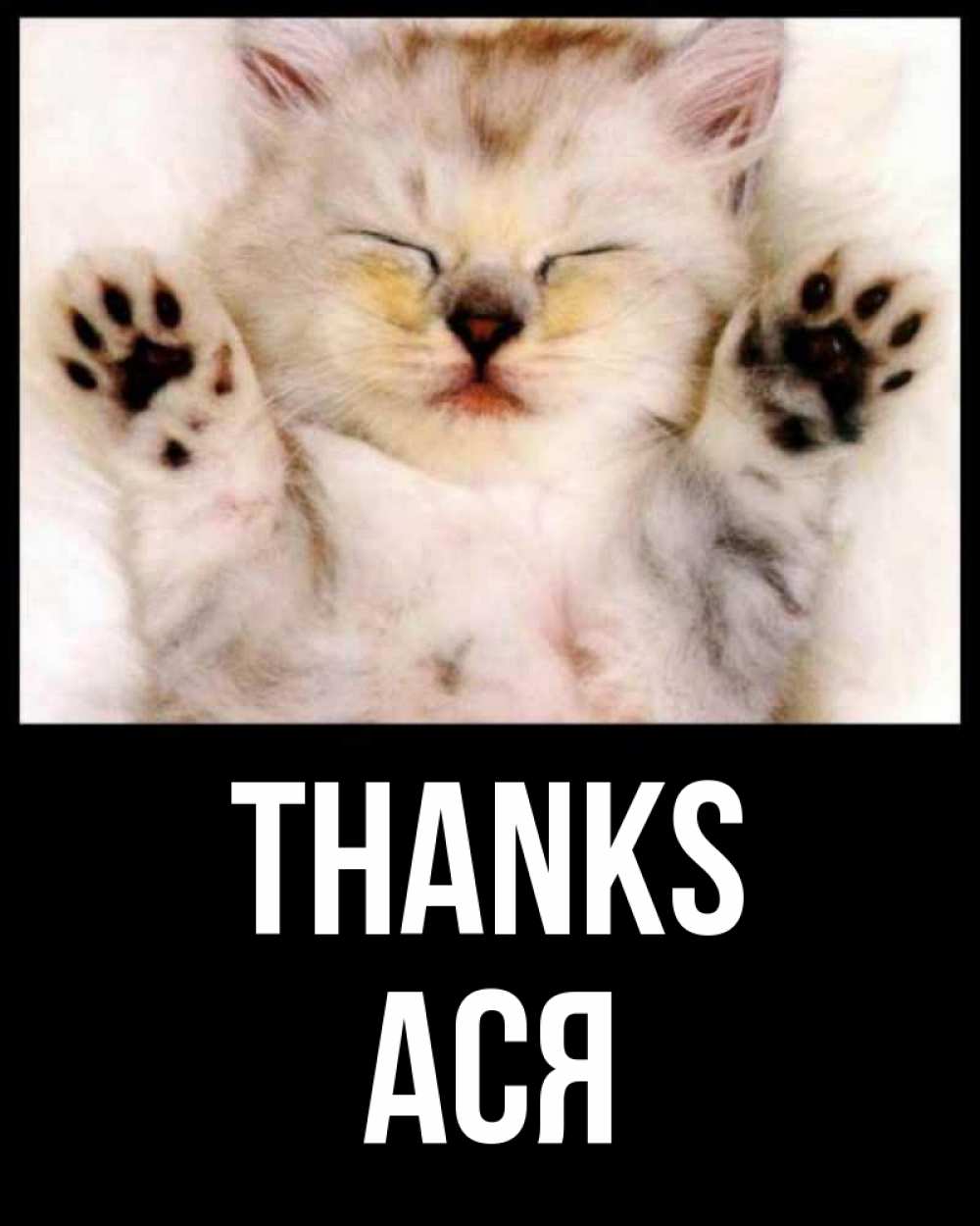 Greetings card с именем, Ася Thanks маленький котенок Greetings with text for free download 