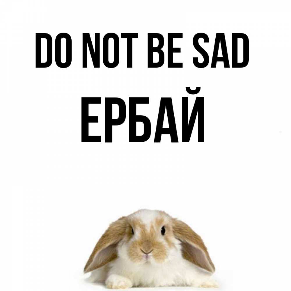 Greetings card с именем, Ербай Do not be sad коричнево белый заяц с большими ушками Greetings with text for free download 