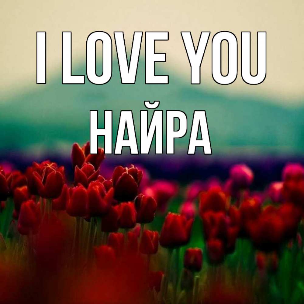 Greetings card с именем, НАЙРА I love you тюльпаны 4 Greetings with text for free download 