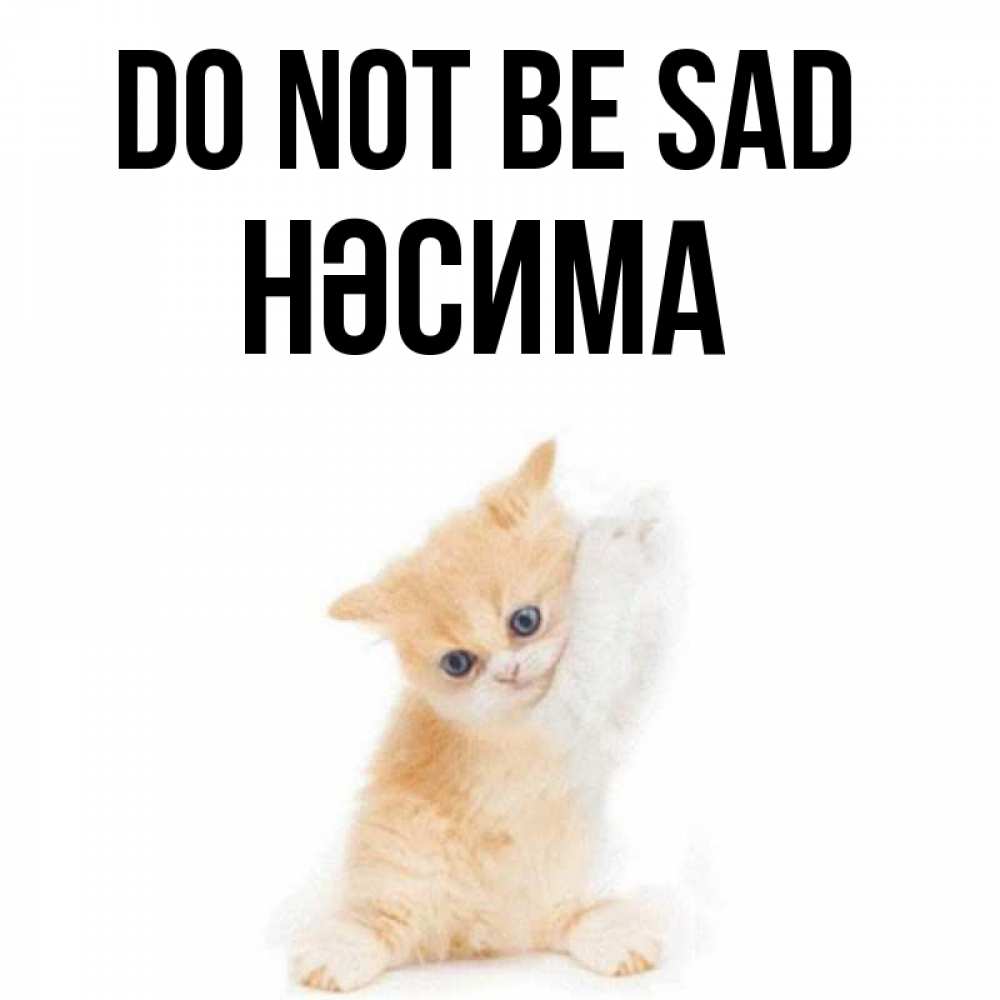 Greetings card с именем, НӘСИМА Do not be sad просящий кот Greetings with text for free download 