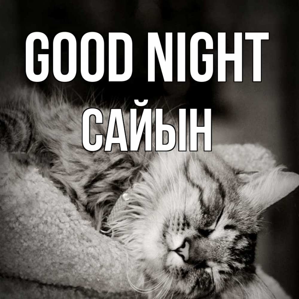 Greetings card с именем, САЙЫН Good night котярик пушистый Greetings with text for free download 