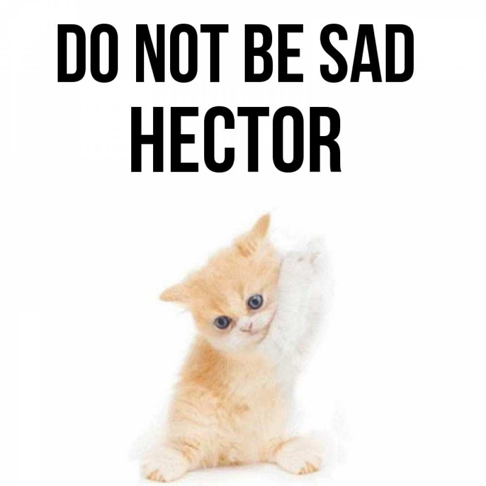 Greetings card с именем, Hector Do not be sad просящий кот Greetings with text for free download 
