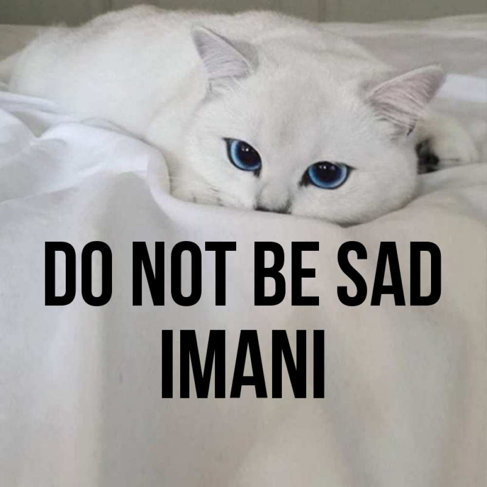 Greetings card с именем, Imani Do not be sad Голубоглазая кошка Greetings with text for free download 