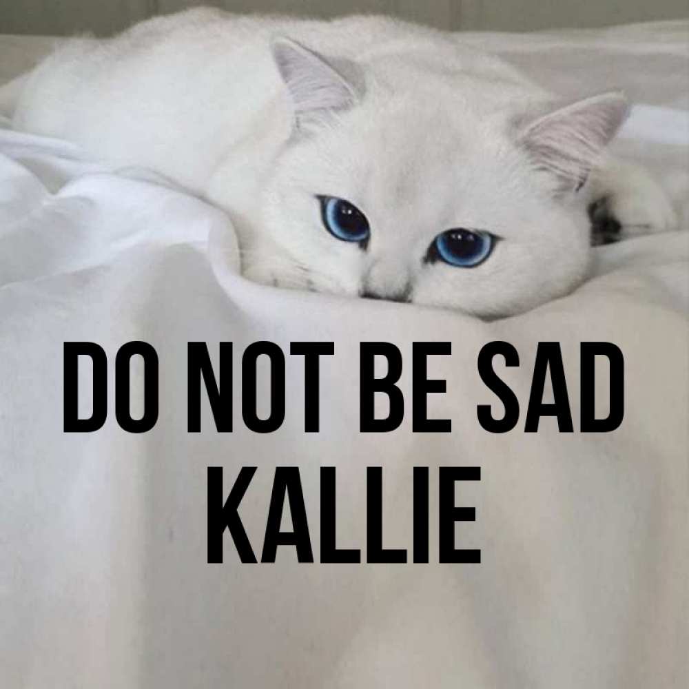 Greetings card с именем, Kallie Do not be sad Голубоглазая кошка Greetings with text for free download 