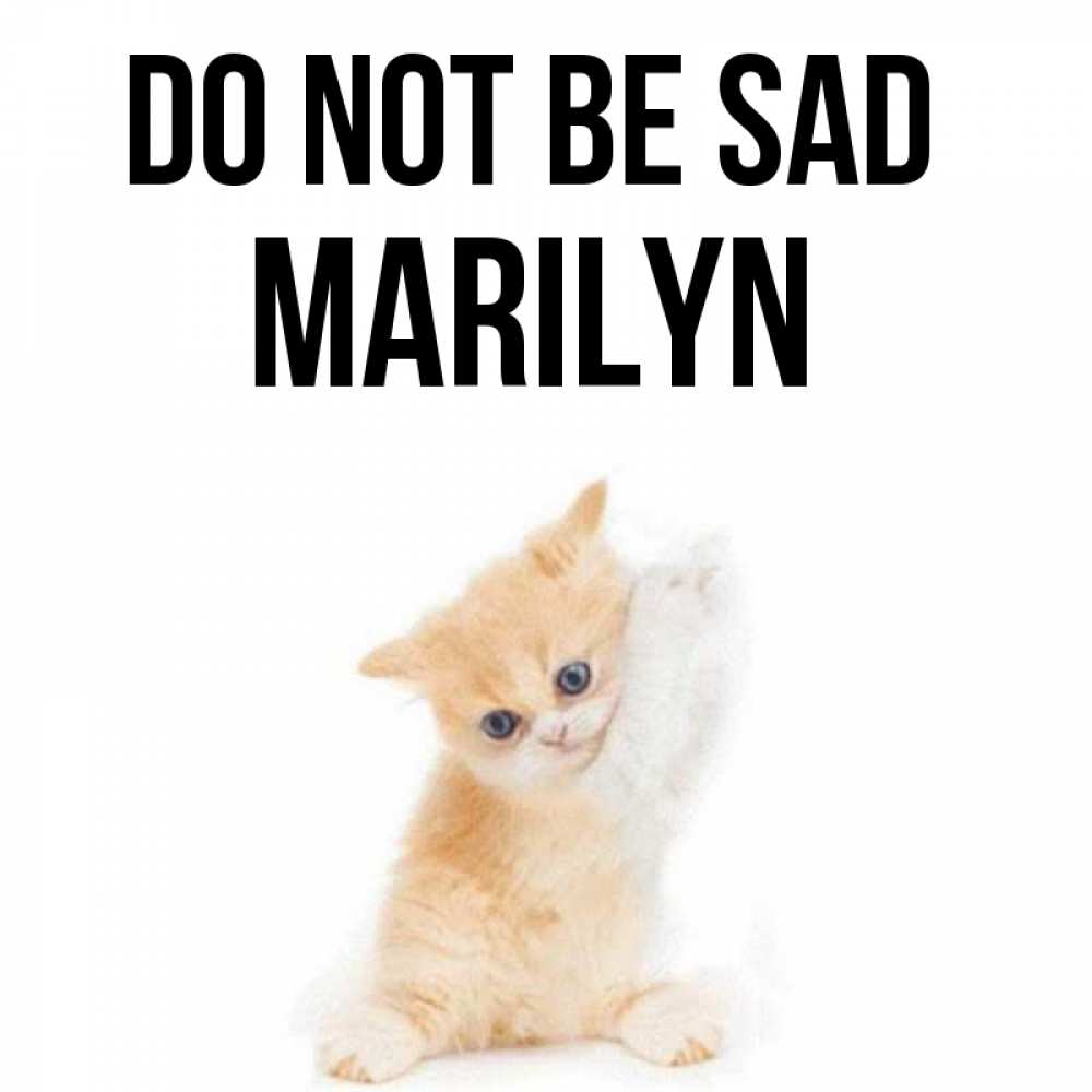 Greetings card с именем, Marilyn Do not be sad просящий кот Greetings with text for free download 