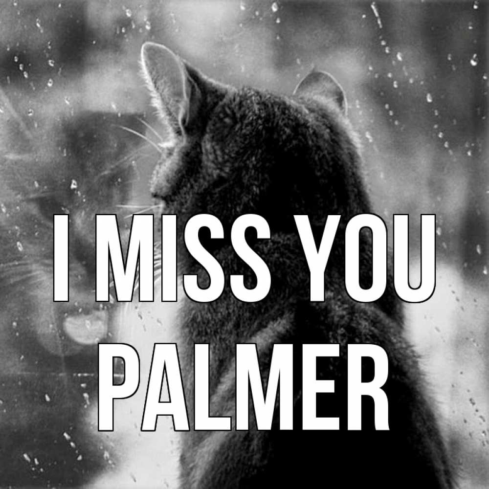Greetings card с именем, Palmer I miss you скорее ко мне приходи 1 Greetings with text for free download 