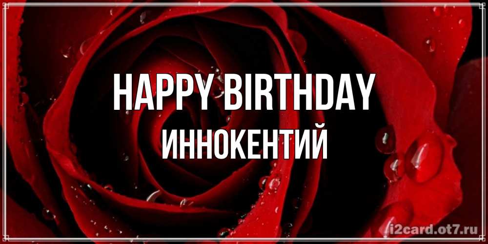 Greetings card с именем, Иннокентий Happy Birthday крупная бордовая роза Greetings with text for free download 