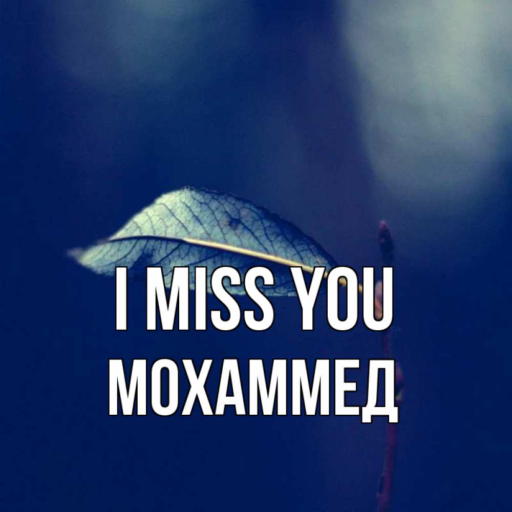 Greetings card с именем, Мохаммед I miss you одна ветка 1 Greetings with text for free download 