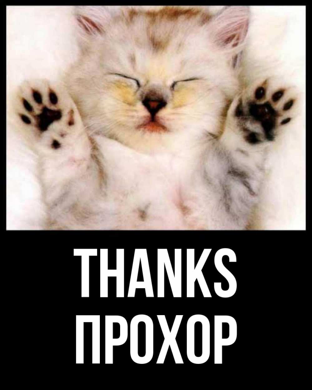Greetings card с именем, Прохор Thanks маленький котенок Greetings with text for free download 