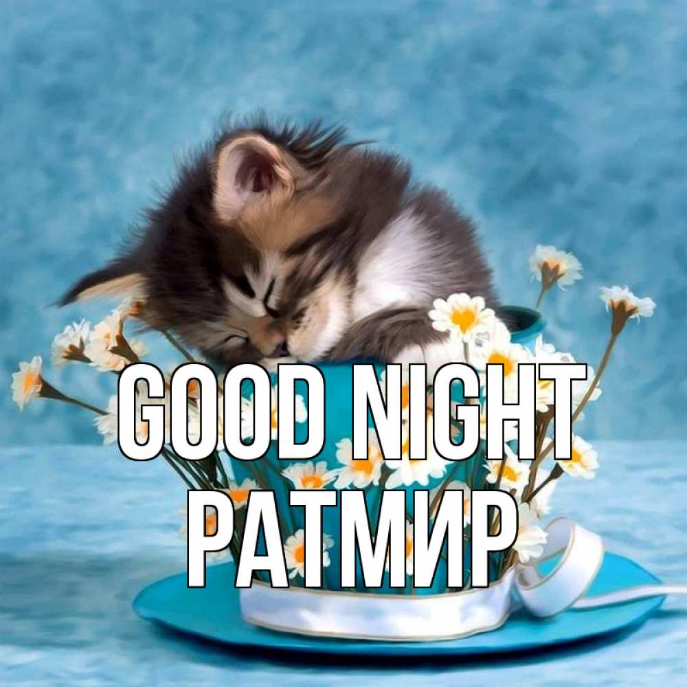 Greetings card с именем, Ратмир Good night котенок спит в кружке с блюдцем Greetings with text for free download 