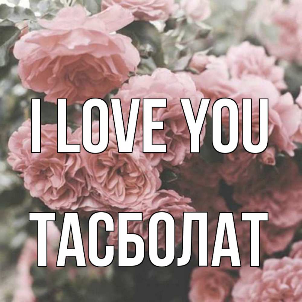 Greetings card с именем, ТАСБОЛАТ I love you розы 3 Greetings with text for free download 
