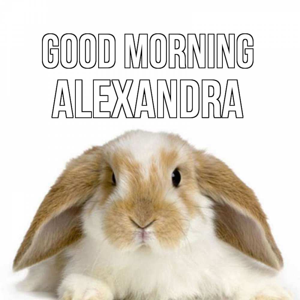 Greetings card с именем, Alexandra Good morning прикольные открытки на каждый день Greetings with text for free download 