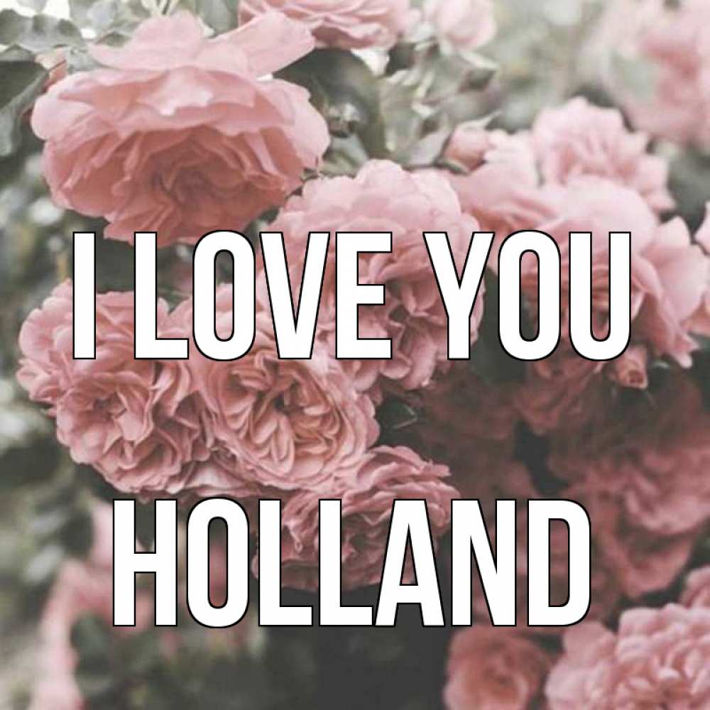 Greetings card с именем, Holland I love you розы 3 Greetings with text for free download 