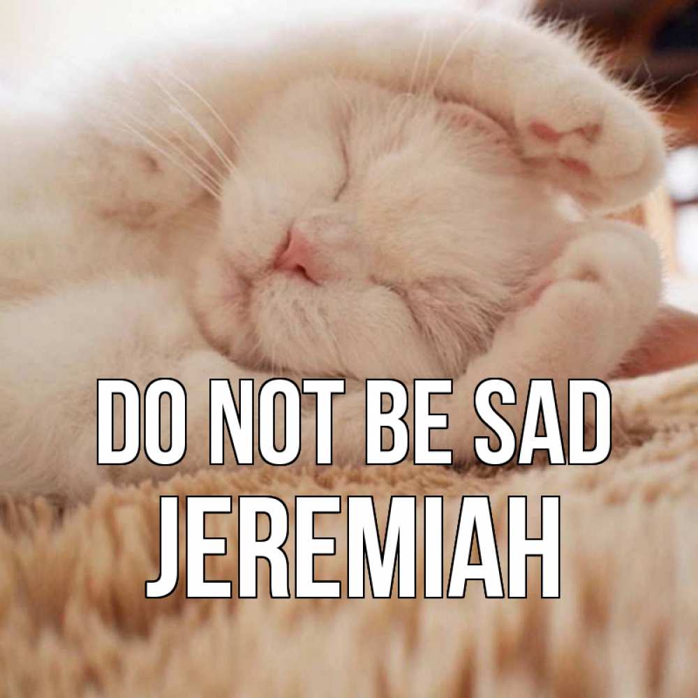 Greetings card с именем, Jeremiah Do not be sad белый кот Greetings with text for free download 