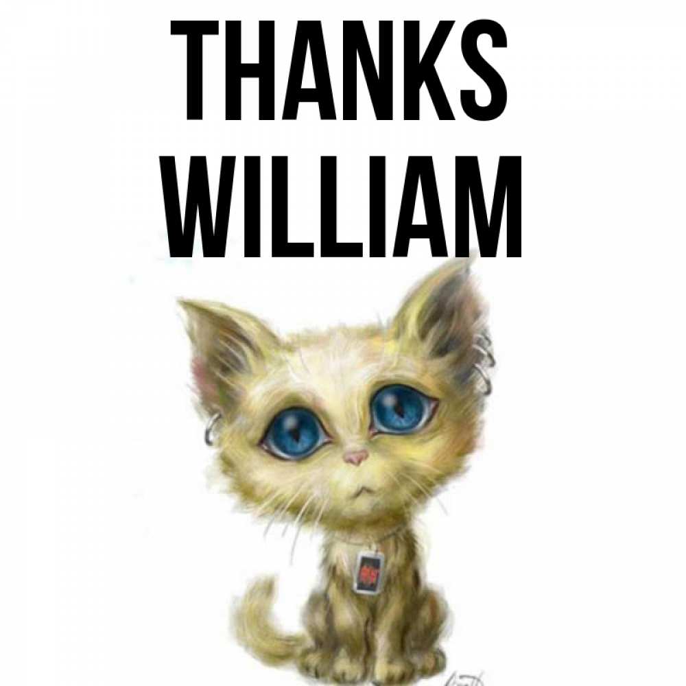 Greetings card с именем, William Thanks рисованный кот благодарит вас Greetings with text for free download 