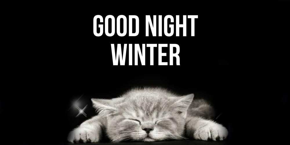 Greetings card с именем, Winter Good night спящий котик Greetings with text for free download 
