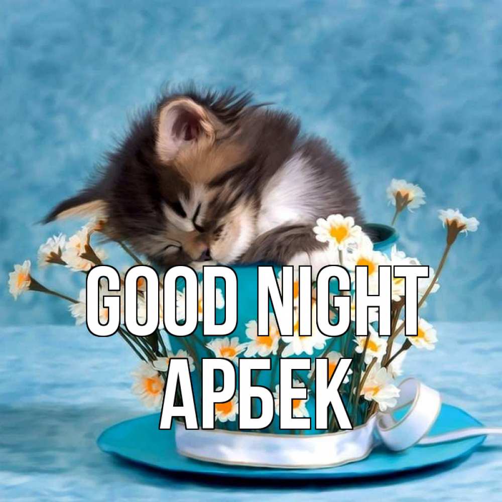 Greetings card с именем, Арбек Good night котенок спит в кружке с блюдцем Greetings with text for free download 