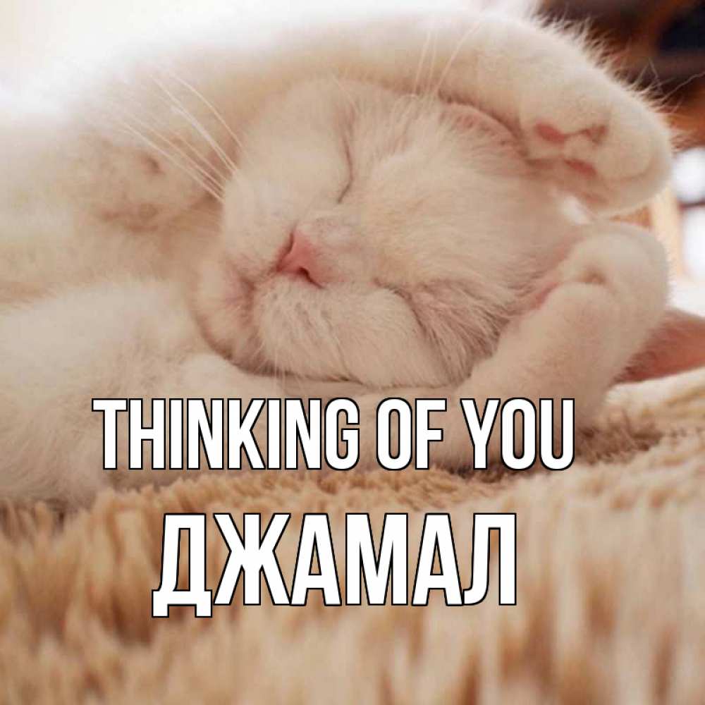 Greetings card с именем, Джамал Thinking of you для любимой девушки милота Greetings with text for free download 