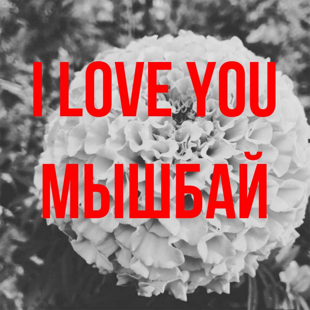 Greetings card с именем, МЫШБАЙ I love you подпись Greetings with text for free download 