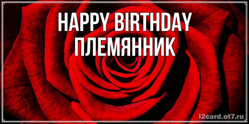 Greetings card с именем, Племянник Happy Birthday алая роза Greetings with text for free download 