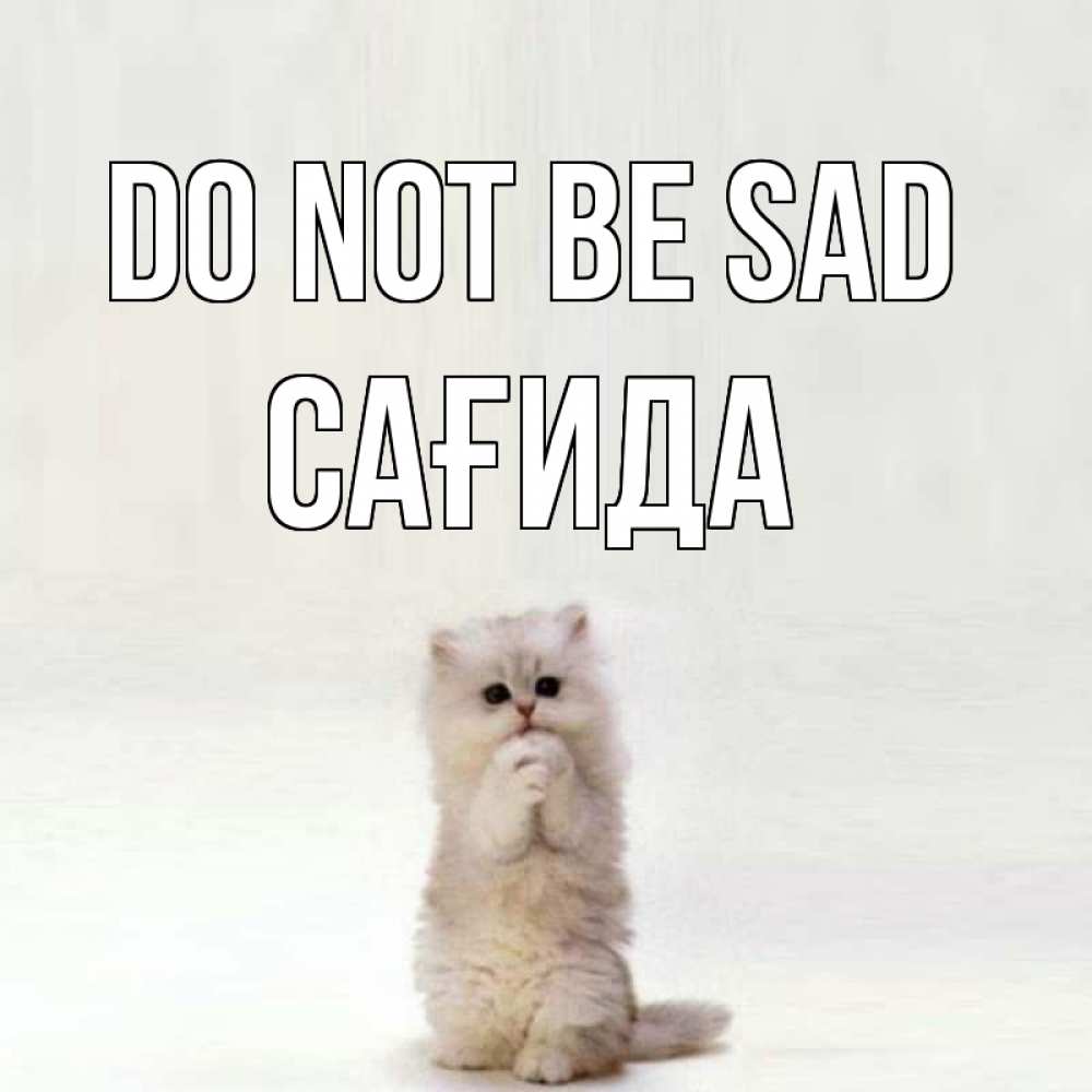 Greetings card с именем, САҒИДА Do not be sad грустный кот Greetings with text for free download 