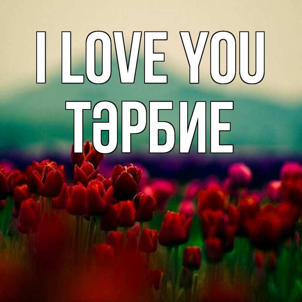 Greetings card с именем, ТӘРБИЕ I love you тюльпаны 4 Greetings with text for free download 