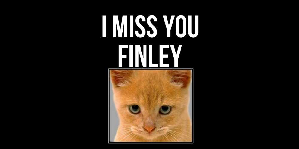 Greetings card с именем, Finley I miss you открытки рыжий котенок скучает по тебе Greetings with text for free download 