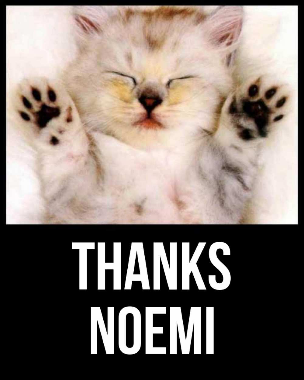 Greetings card с именем, Noemi Thanks маленький котенок Greetings with text for free download 