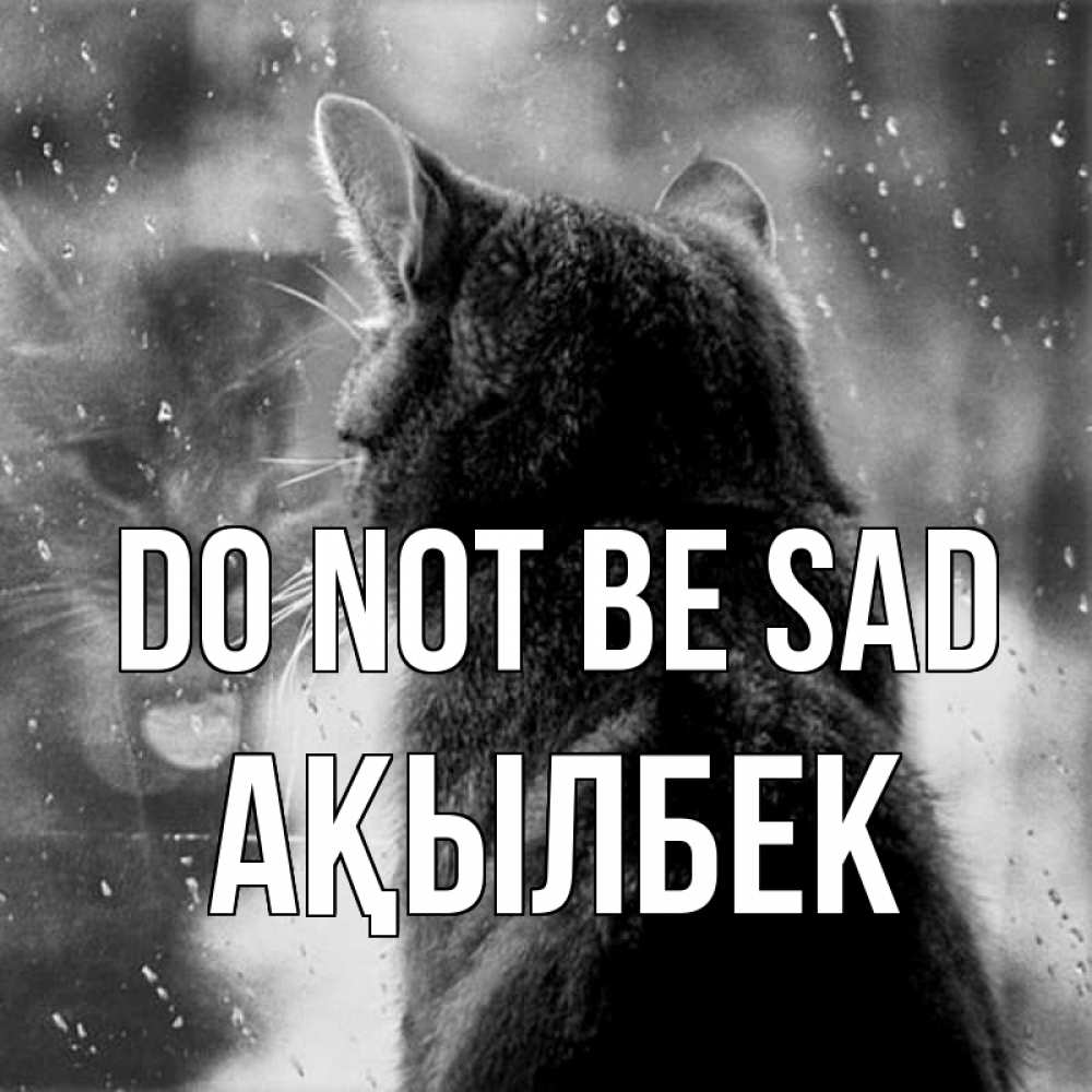 Greetings card с именем, Ақылбек Do not be sad отражение кота 1 Greetings with text for free download 