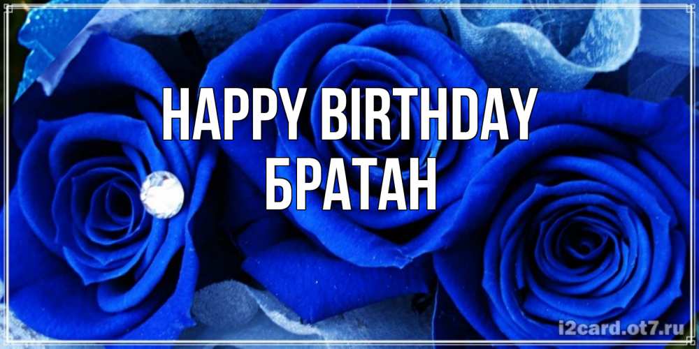 Greetings card с именем, Братан Happy Birthday синие розы в росе Greetings with text for free download 