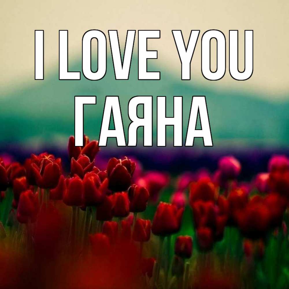 Greetings card с именем, ГАЯНА I love you тюльпаны 4 Greetings with text for free download 
