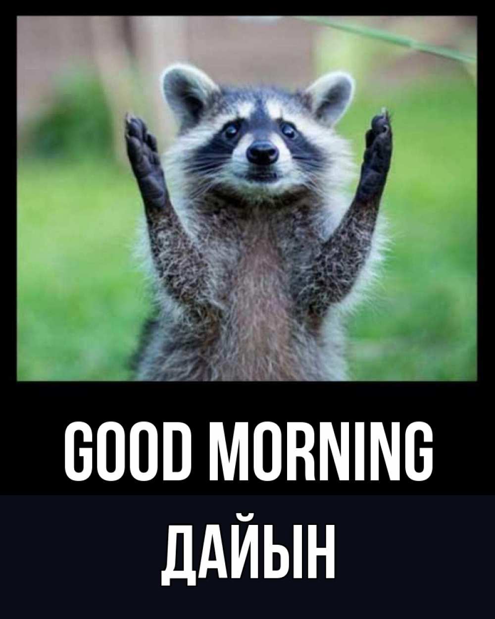 Greetings card с именем, Дайын Good morning хорошее настроение утречком Greetings with text for free download 