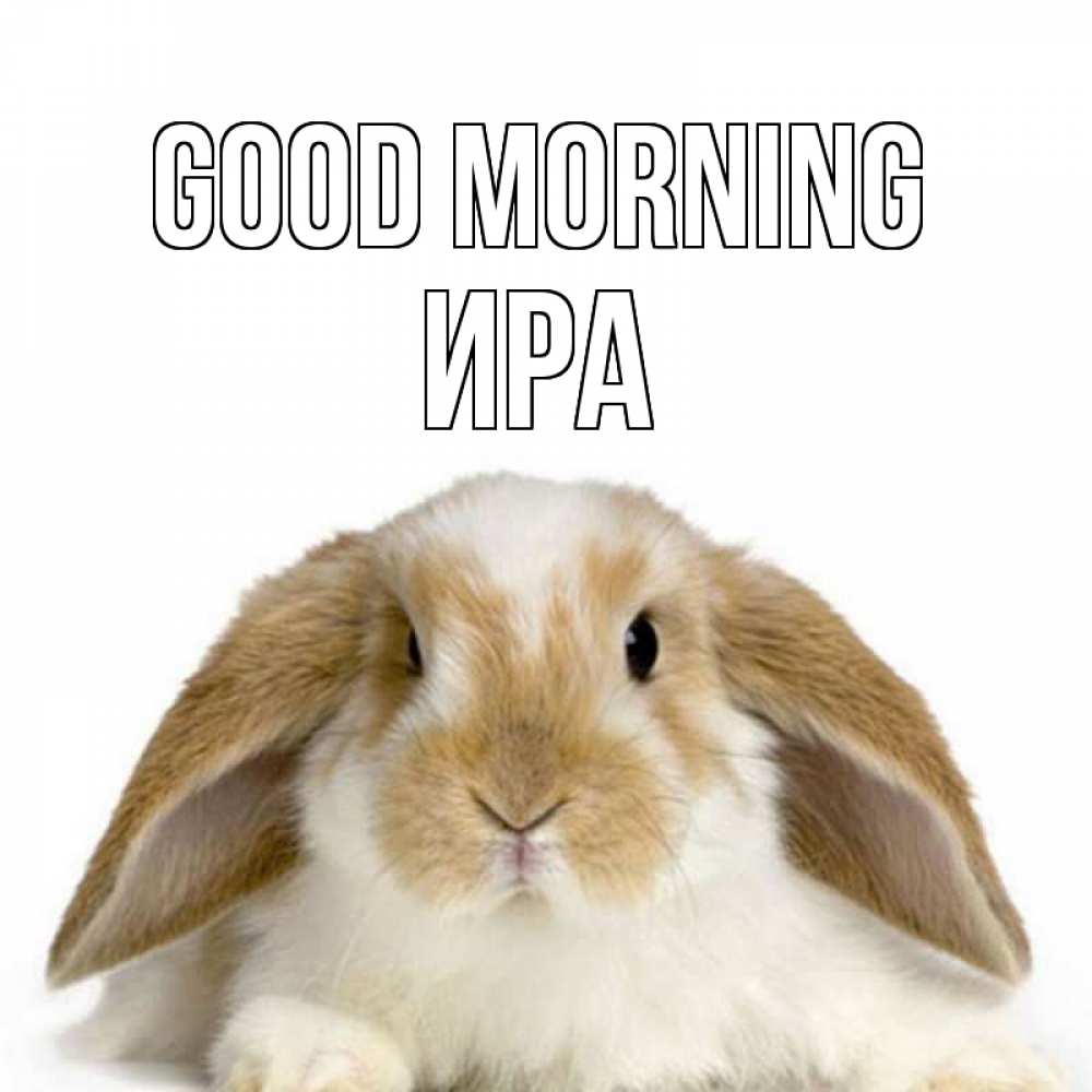 Greetings card с именем, Ира Good morning прикольные открытки на каждый день Greetings with text for free download 