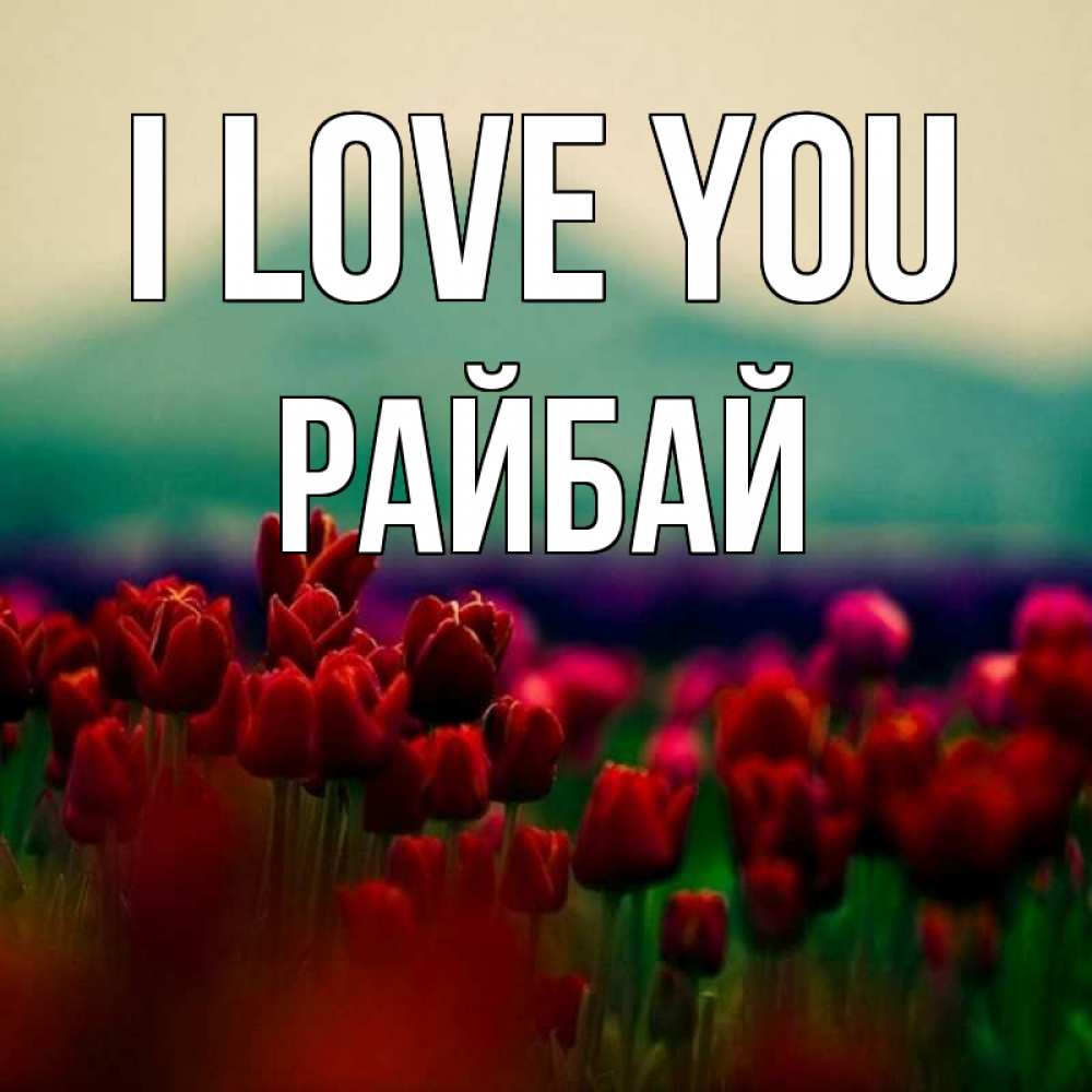 Greetings card с именем, РАЙБАЙ I love you тюльпаны 4 Greetings with text for free download 