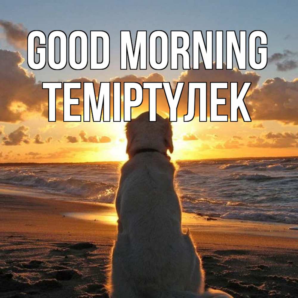 Greetings card с именем, ТЕМІРТҮЛЕК Good morning восход солнца Greetings with text for free download 