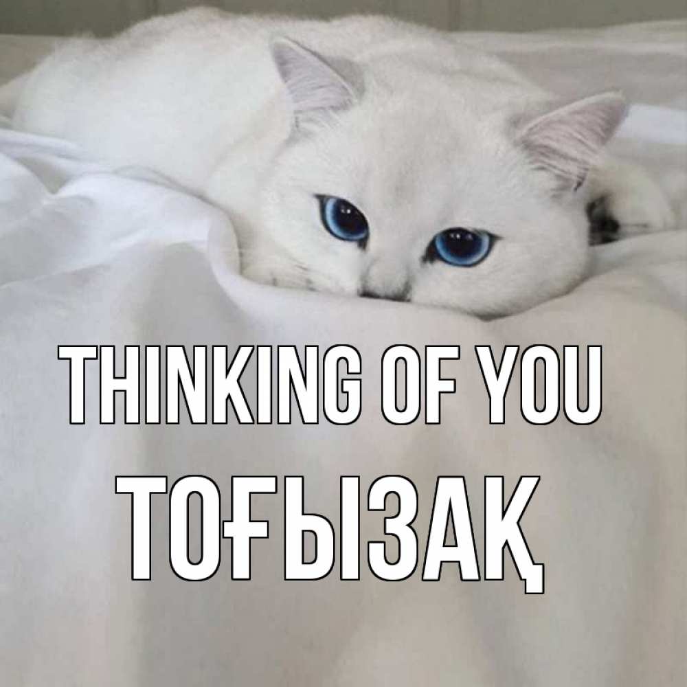 Greetings card с именем, ТОҒЫЗАҚ Thinking of you я очень по тебе скучаю и тоскую Greetings with text for free download 